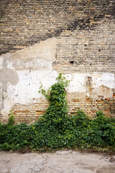 Žlutá cihlová zeď pozadí — Stock fotografie