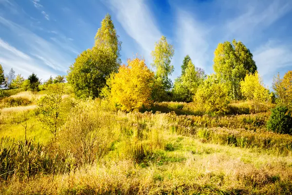 Schöne Herbstlandschaft — Stockfoto