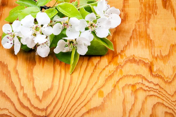 Apple blossom on wooden background — Stock Photo, Image
