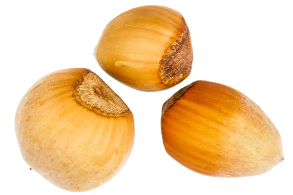 Three forest hazelnuts — Stock Photo, Image