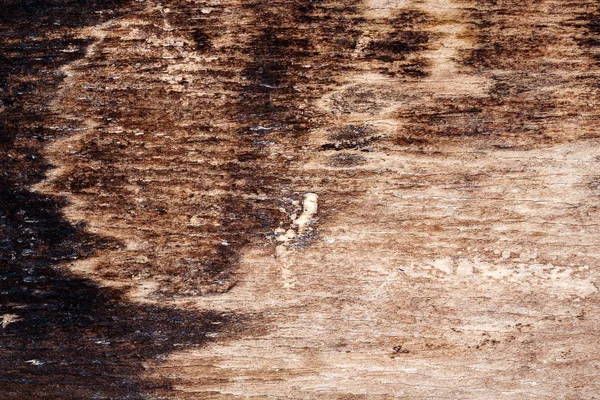 Old wood texture — Stock Photo, Image