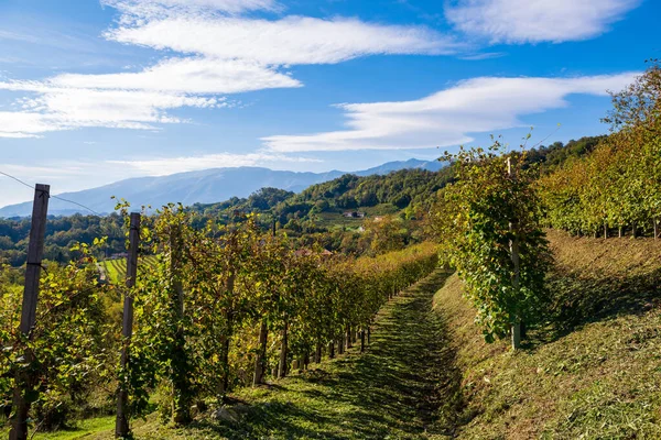 Paisagem Vinícola Italiana Vista Panorâmica Pequena Aldeia Valdobbiadene Região Vinícola — Fotografia de Stock