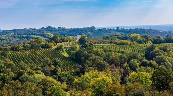 Prosecco Superiore Panorama Vigneti Valdobbiadene Veneto Italia Settentrionale Europa — Foto Stock