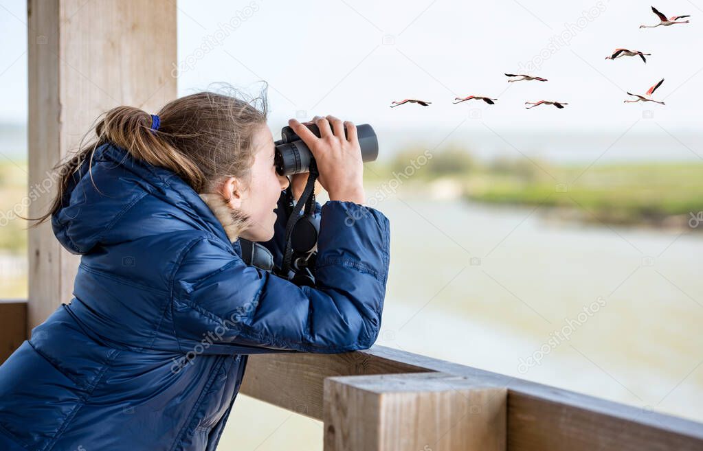 Young girl watching flamingos through binoculars from a wooden birdwatching cabin at nature reserve. Observation of birds. Birdwatching.