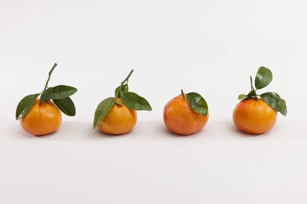 Grupo Cuatro Líneas Enteras Mandarina Naranja Fresca Aisladas Sobre Fondo — Foto de Stock