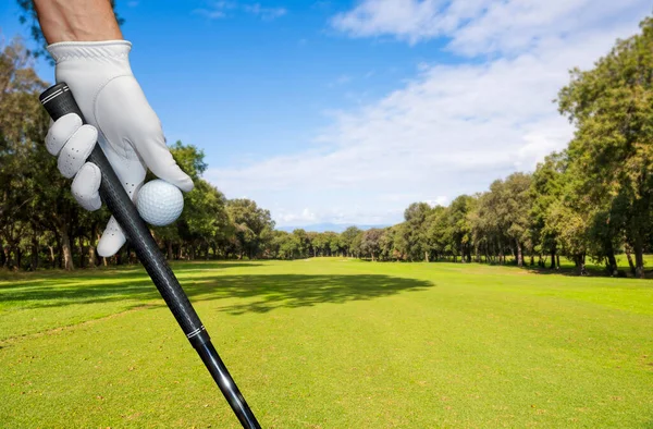 Golfkesztyűt Viselő Játékos Egy Golflabdát Egy Golfütőt Tart Ujjai Között — Stock Fotó