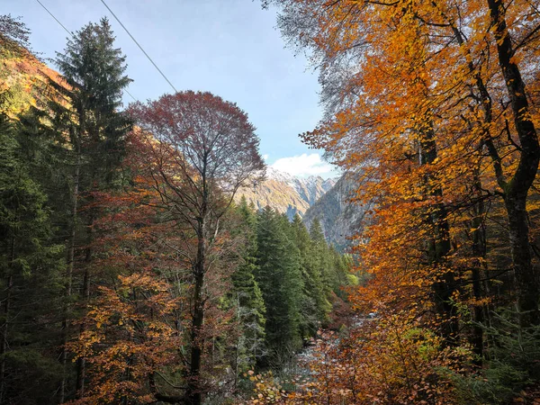 İtalya 'nın Lombardy bölgesindeki Val Masino dağlarının ormanlarındaki sonbahar yapraklarının yansıması.