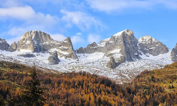 Colores Otoñales Los Bosques Valtellina Italia Reflejo Del Follaje Otoñal — Foto de Stock