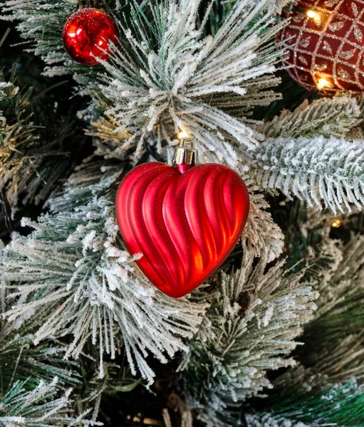 Christmas Tree Branches Covered Snow Red Heart Shaped Ball Illuminated Royalty Free Stock Images