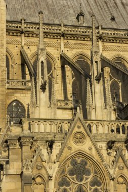 Notre Dame de Paris detay