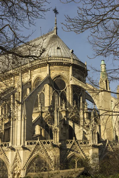 Notre Dame de Paris ayrıntı II — Stok fotoğraf