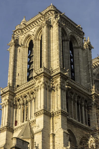 Clocher ouest de Notre Dame — Photo
