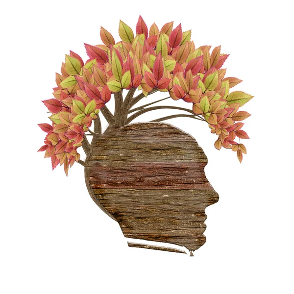 Isolated wood human head and leaves — Stock Photo, Image