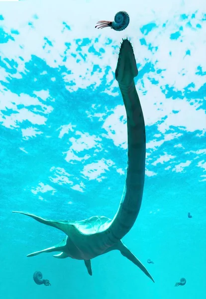 Plesiosaurus Sanat Eseri Nesli Tükenmiş Hayvan Plesiosaurlar Adı Verilen Bir — Stok fotoğraf