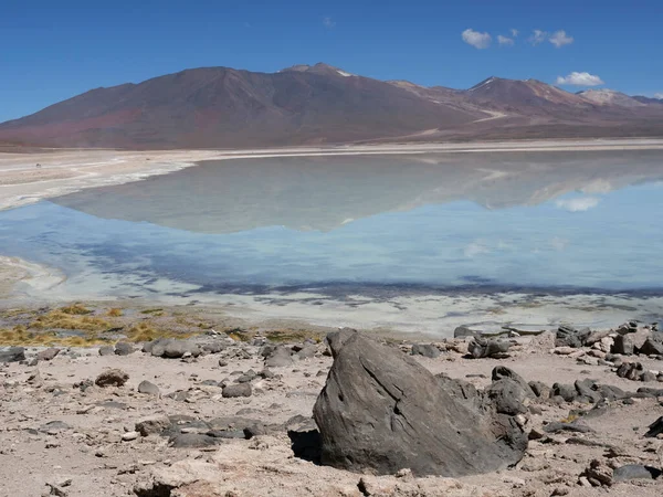 Laguna Verde Green Lagoon Salt Lake Eduardo Avaroa Andean Fauna — Stock Photo, Image