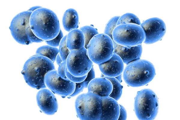 Εικονογράφηση Κοκκοειδών Βακτηρίων Staphylococcus Aureus Mrsa Staphylococcus Aureus Είναι Ένα — Φωτογραφία Αρχείου