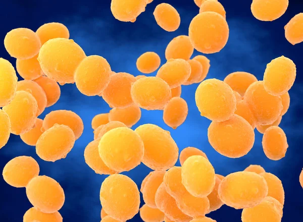 金黄色葡萄球菌 Mrsa 球状细菌的说明 金黄色葡萄球菌是一种革兰氏阳性菌 可导致食物中毒 中毒性休克综合征以及皮肤和伤口感染 如烫伤性皮肤病 — 图库照片