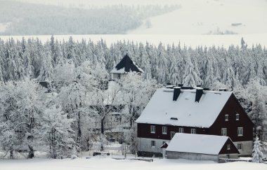 Kış doğa gökyüzü kar manzara ağaçlar