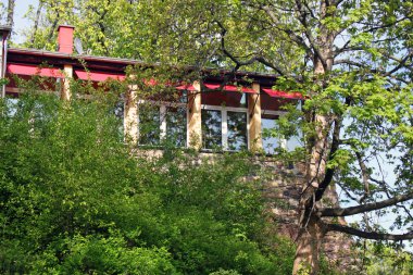 Chemnitz bahar Parkı doğa manzara bitki yeşil taze