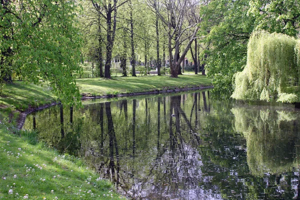 Chemnitz printemps parc nature paysage plante vert frais — Photo