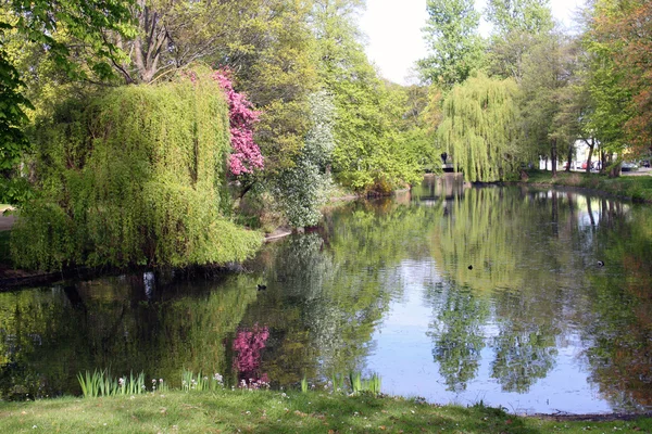 Chemnitz primavera parque naturaleza paisaje planta verde fresco — Foto de Stock