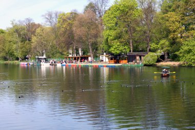 Chemnitz bahar Parkı doğa manzara bitki yeşil taze