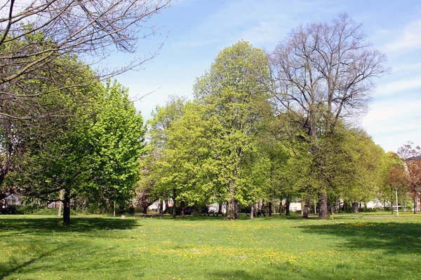 Chemnitz primavera parque naturaleza paisaje planta verde fresco — Foto de Stock
