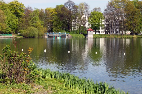 Chemnitz primavera parque naturaleza paisaje planta verde fresco — Foto de Stock