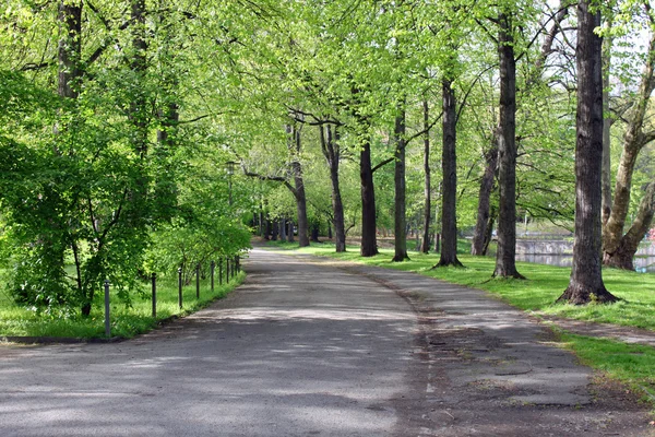 Chemnitz primavera parque naturaleza paisaje planta verde fresco — Foto de Stock