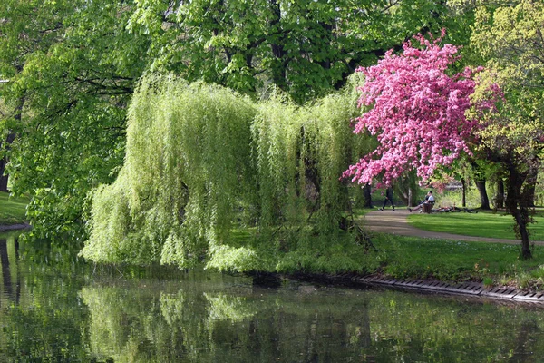 Chemnitz primavera parque naturaleza paisaje planta verde fresco — Foto de Stock
