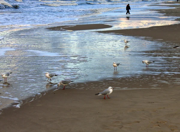 Mare riva spiaggia Usedom Germania baltic onda tempo — Foto Stock