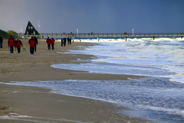 Casa Usedom paisagem natureza água Alemanha estação — Fotografia de Stock