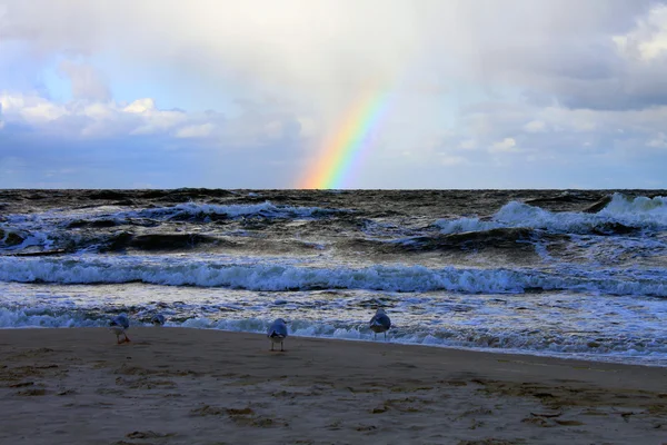 Casa Usedom paisaje naturaleza agua Alemania temporada — Foto de Stock