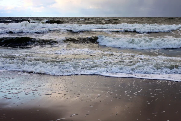 Usedom Alemania Mecklemburgo Vorpommern paisaje natural — Foto de Stock