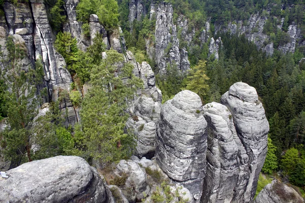 Elbsandteingebirge Saechsische Schweiz Sandstein Sachsen — стокове фото