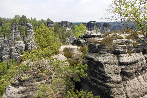 Piaskowiec Elbsandteingebirge Saechsische Schweiz Saksonii — Zdjęcie stockowe