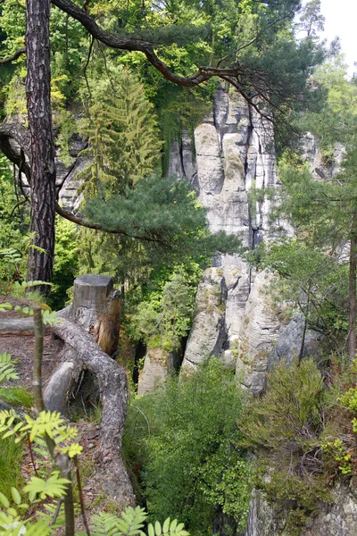 Elbsandteingebirge Saechsische Schweiz sandsten Sachsen — Stockfoto