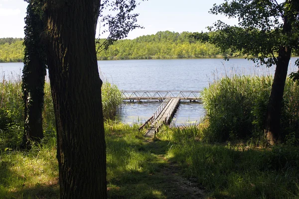 Voir Teich Wasser paysage naturel — Photo