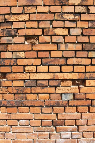 Brick wall Ziegel — Stock Photo, Image