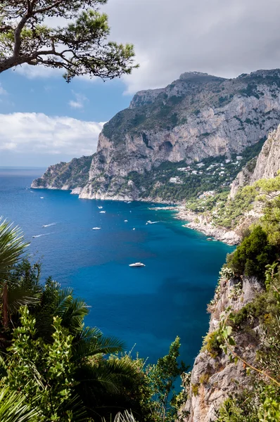 Bela vista emoldurada por árvores de Marina Piccola e mar em Capr Fotografias De Stock Royalty-Free