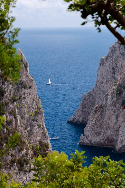 Hav, klippe og Faraglioni udsigt med vegetationsramme ved Capri Stock-billede