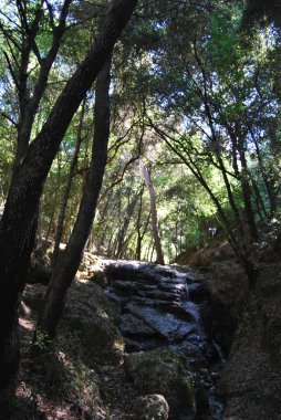 Camogli ve Portofino promontory