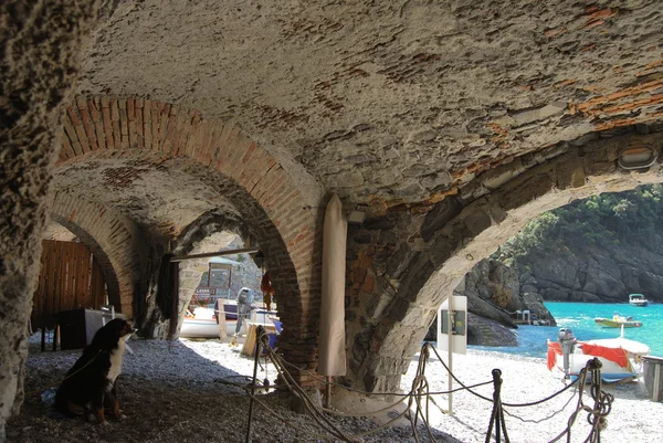 Promontorio de Camogli y Portofino — Foto de Stock