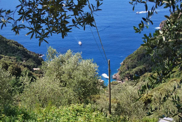 Promontório de camogli e portofino — Fotografia de Stock