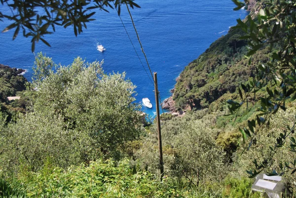 Promontoire de Camogli et Portofino — Photo