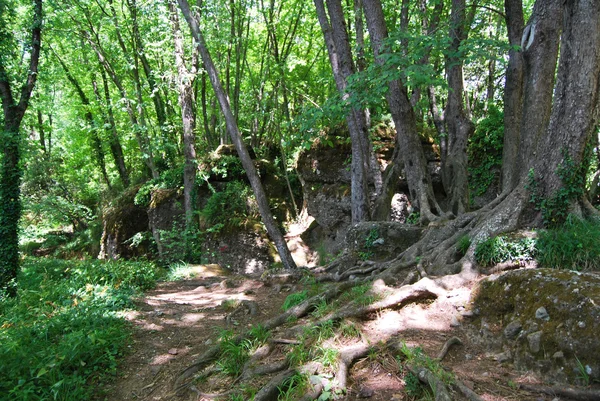 Camogli und portofino vorgebirge — Stockfoto