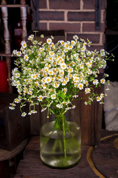 ガラスの花瓶にカモミールの花束 ストック写真