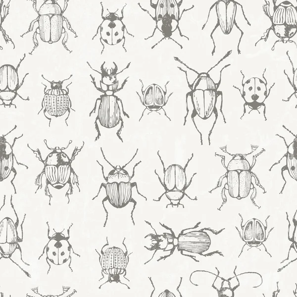 Naadloze zwart-wit patroon met bugs. — Stockvector