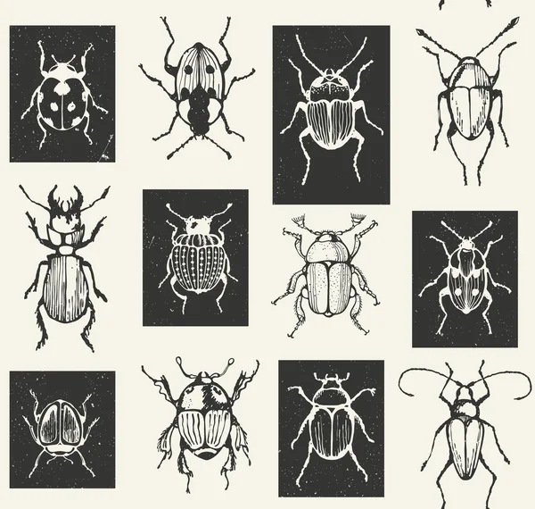 Бесшовный энтомологический векторный шаблон с жуками . — стоковый вектор
