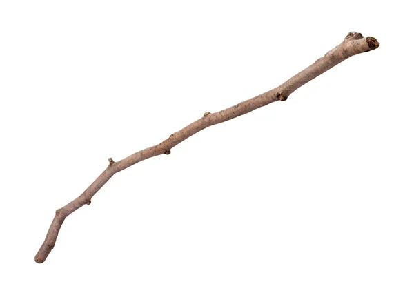 Wooden Twig Isolated — Stock Photo, Image